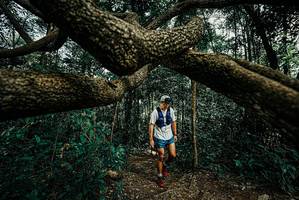 BIB: 
                            <button type="button" onclick="openModal(25708444)" class="btn btn-primary btn-sm float-right btn-popup" data-toggle="modal" data-target=".modal-high-quality">
                        <i class="fas fa-shopping-cart"></i> Add to Cart
                    </button>
                                            <button type="button" onclick="isThisMe(25708444, true)" class="btn btn-success btn-sm float-right btn-popup btn-isme hidden" data-toggle="tooltip" data-placement="bottom" title="นี่คือรูปของคุณใช่ไหม คลิกที่นี่เพื่อเอาเข้าอัลบั้ม">
                        <i class="fas fa-plus"></i> Add to album
                    </button>
                    <button type="button" onclick="isThisMe(25708444, false)" class="btn btn-warning btn-sm float-right btn-popup btn-isnotme hidden">
                        <i class="fas fa-ban"></i> Remove from album
                    </button>